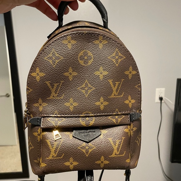 Louis Vuitton Handbags - Palm Springs Mini